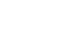 鹊巢鸠踞网